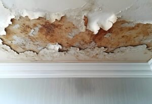 Water damage on a ceiling with peeling paint, revealing a brown stain.